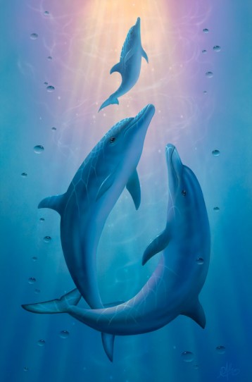 Rêve de dauphins