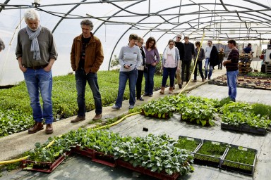 la halle de cougnac producteur maraicher rencontre les gestionnaires et cusiniers des colleges