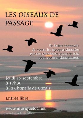 oiseaux_copy