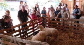 spectacle-a-la-ferme