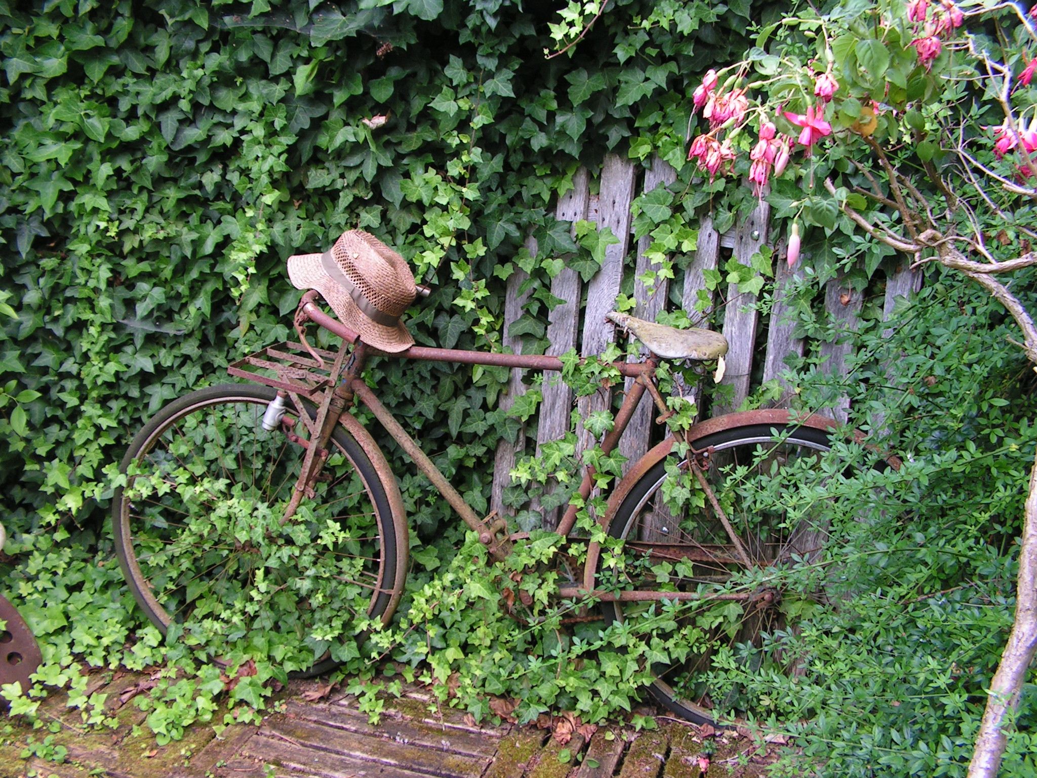 Votre français est un peu rouillé?