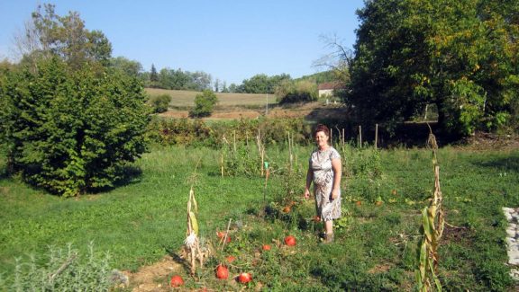 J'invite les personnes de bonne volonté à participer au jardin communautaire (temps,argent et récolte) mis en commun.
Si la friperie de Salviac génére assez d'argent,nous pourrons nous consacrer à l'amélioration des parcelles.
tel:06.15.84.28.99
Réserver votre place.

