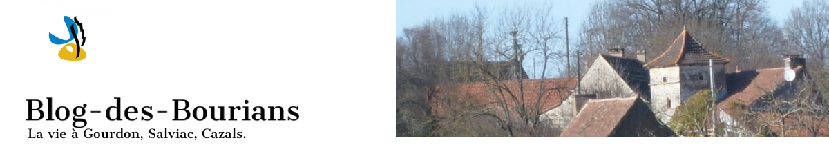 Blog des Bourians