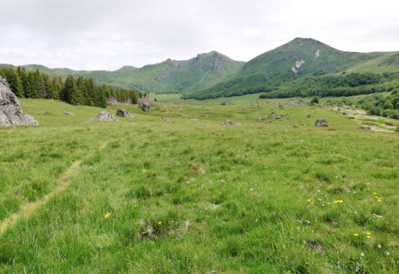 L’attribut alt de cette image est vide, son nom de fichier est paysage-576x396.jpg.