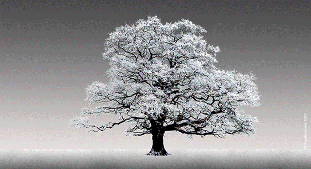 2024-GIF-Carte de vœux-Création Joëlle Lacourt